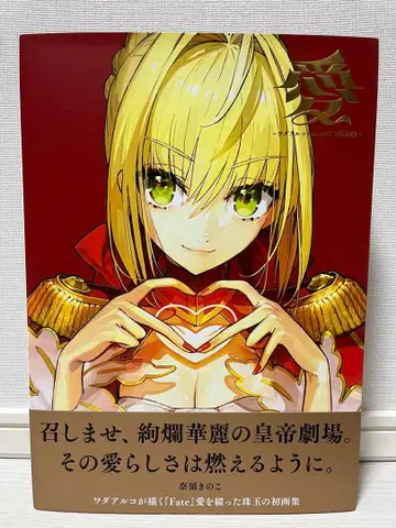 아이 와다 아루코 Fate Artwork