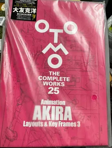 OTOMO THE COMPLETE WORKS 25 AKIRA