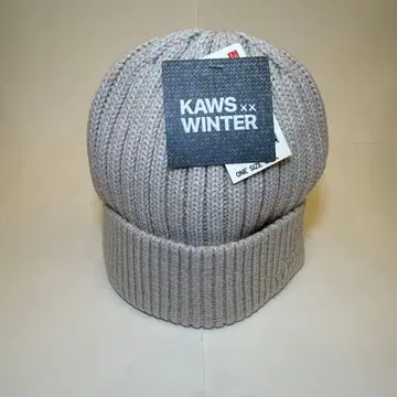 KAWS WINTER 니트 모자 그레이 ONE SIZE
