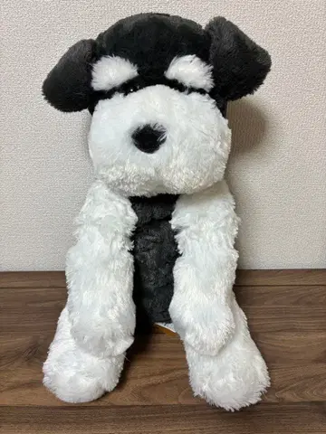 축 늘어진 슈나우저