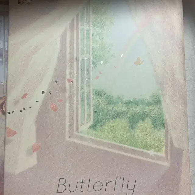 방탄 butterfly 그래픽 리릭스