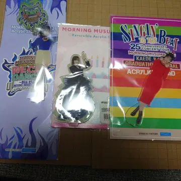 이쿠타 에리나 모닝구무스메. 아크릴 스탠드 3개 세트