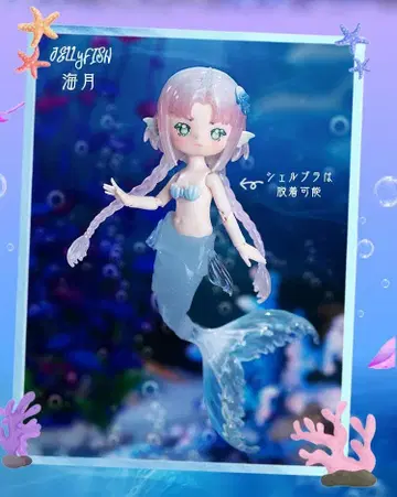 앙티유 ANTU 조개의 비어 해파리