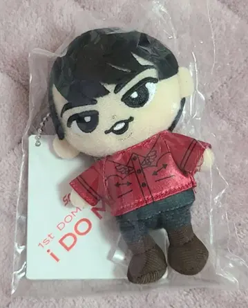 Snow Man 스노치루 봉제 인형 미야타테 료타