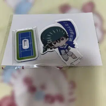 프렌즈 테니스의 왕자님 카이도 카오루