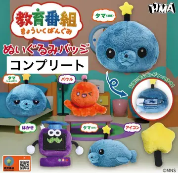 교육 방송 누이바 가챠 컴프