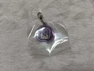 프로세카 메지루시 참 류