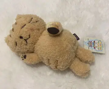 복슬복슬 냥코 챠챠마루 벌스데이 마스코트