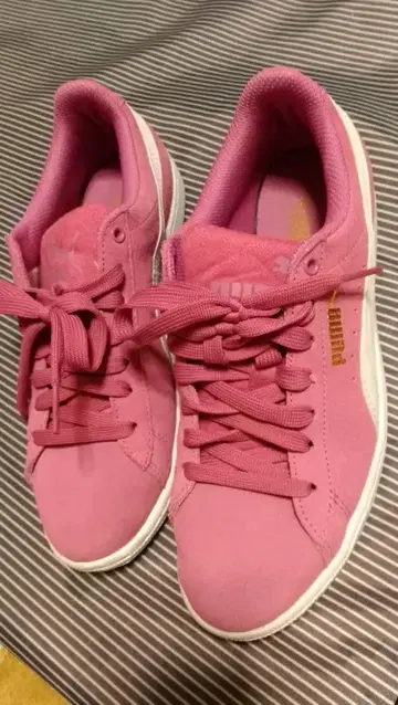 Puma 핑크 스니커즈 23cm