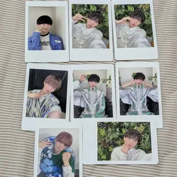 나나 크로니클 모찌모찌 토라 하피카 8매 세트