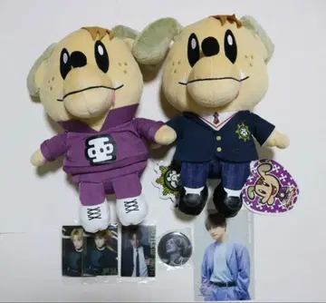 시라하마 아란 굿즈