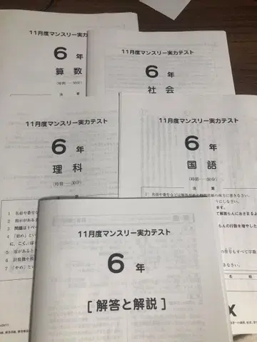 2025년 6학년 11월 월간 실력 테스트 SAPIX