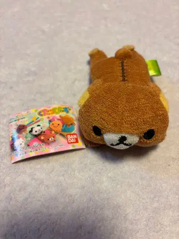 쿠타삐즈 리락쿠마