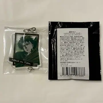 [ 레어 ] 진격의 거인 WIT STUDIO 연결 아크릴 키링