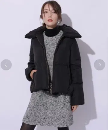 Apuweiser-riche 발수 빅 컬러 아라이 다운