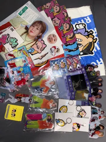 헤이세이 플라밍고 리호 RIHO 굿즈