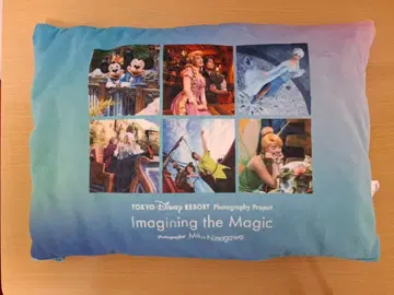 디즈니 이매지닝 더 매직 판타지 스프링스 담요