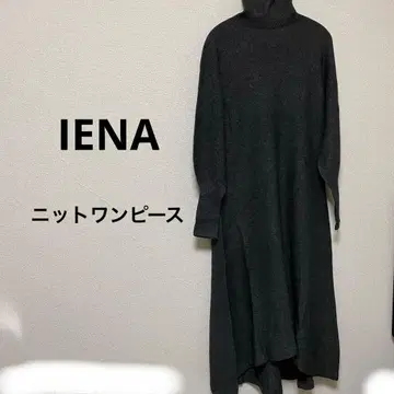 IENA 이에나 하이넥 니트 원피스 그레이