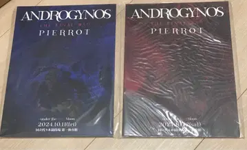 ANDROGYNOS 한정 팜플렛 세트 PIERROT DIRENGREY