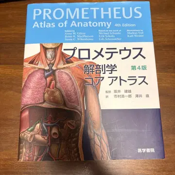 프로메테우스 해부학 코어 아틀라스 제4판