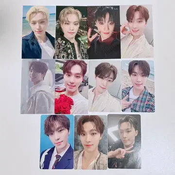 seventeen 디노 트레이딩 카드