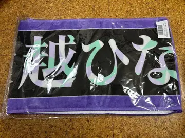 노기자카46 오고시 히나노 13th 바스라 최애 타월