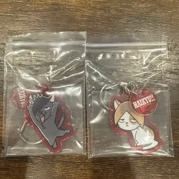 하이큐!! 동물 라메 아크릴 키링 쿠로오 테츠로 코즈메 켄마