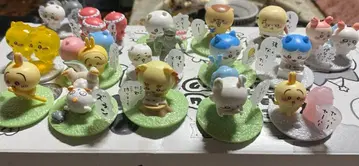 치이카와 초코 컴플리트