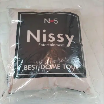 Nissy BEST DOME TOUR 쿠션