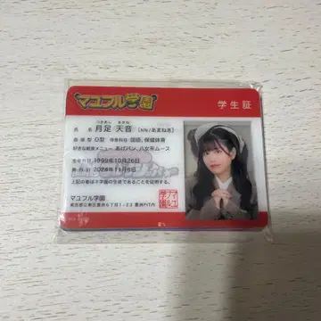 마유후루 학교 축제 학생증 세트