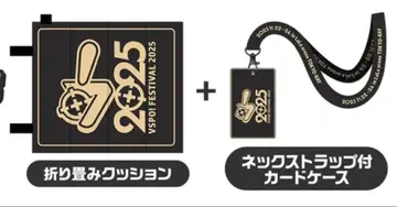 브이스포 페스티벌 2025 SS석 입장자 특전