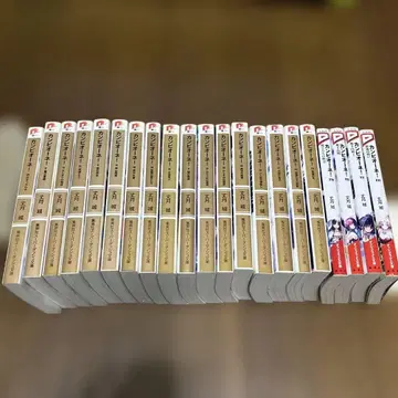 캄피오네! 21권 라이트 노벨