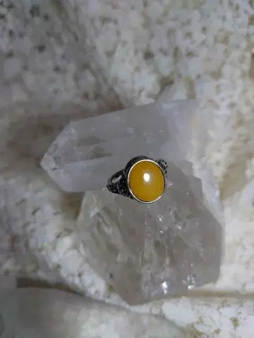 허니 앰버 오벌 컷