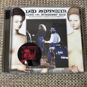 Led Zeppelin / 블루베리 힐 최신반