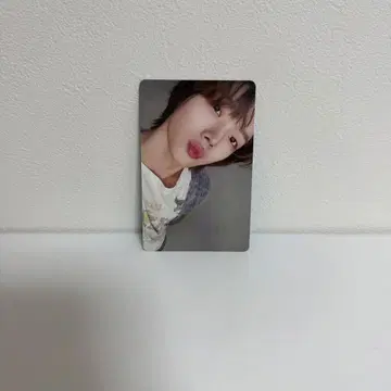 BOYNEXTDOOR 성호 Knock on 트레이딩 카드