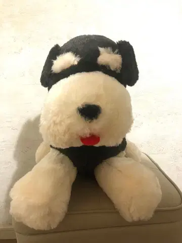 택 포함 미사용 새상품 슈나우저 블랙 화이트 BIG 큰 봉제 인형