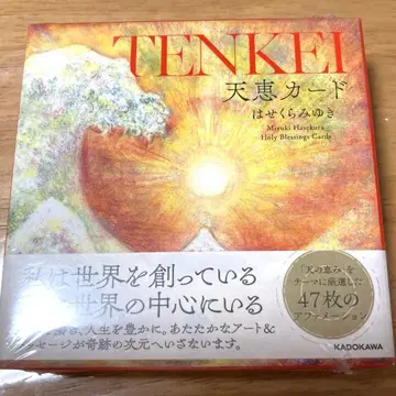 천혜 카드 48장 세트 하세쿠라 미유키