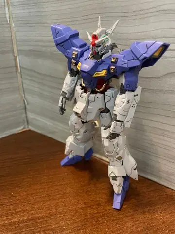 hg 문 건담 정크제품