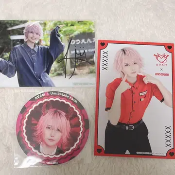 AVAM 길경꽃향 브로마이드