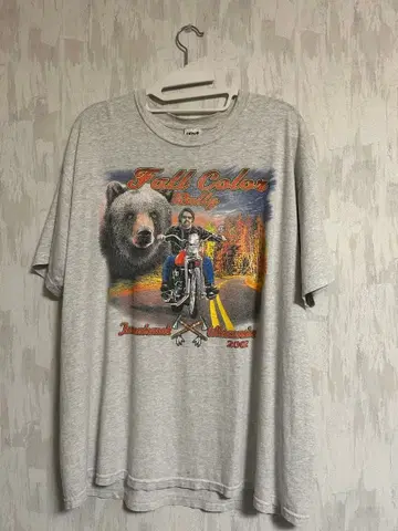 anvil Fall Color 셔츠 구제 의류 US