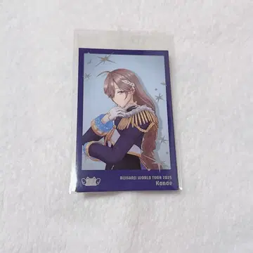 니지산지 카나에 요코하마 공연 폴라로이드