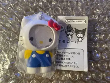 산리오 캐릭터즈 사진 프레임 마스코트 헬로키티