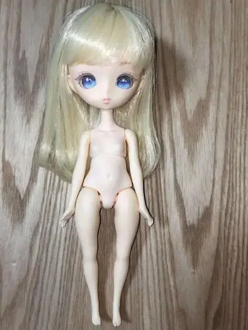 니아 하르모니아 큐리어스