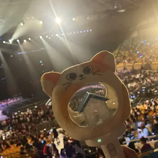 쁘넥도 캣삐 응원봉 커버