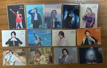 Mrs.GREENAPPLE 오오모리 모토키 포토 카드 13장 세트