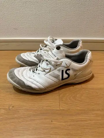 luzesombra 풋살화