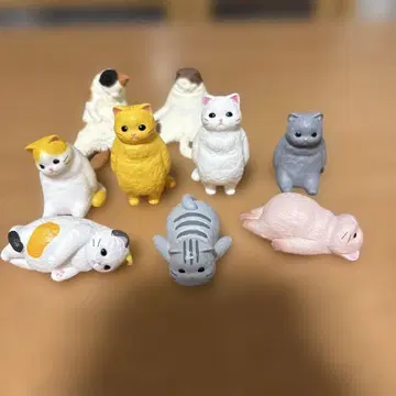 허무 고양이 7마리 + 자고 있는 고양이 2마리