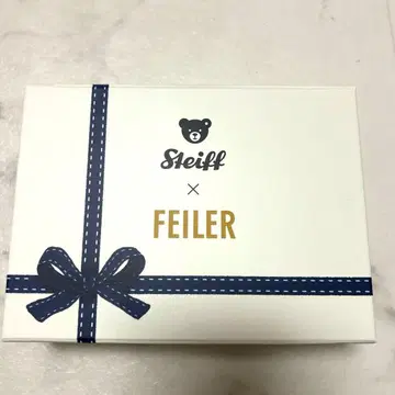 페이 x 슈타이프