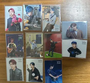 Mrs.GREENAPPLE 와카이 히로토 포토 카드 11장 세트