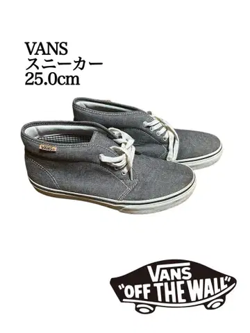 VANS 스니커즈 그레이 25.0cm